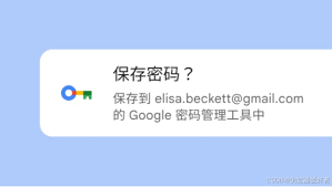谷歌浏览器密码管理功能怎么用？详细操作指南