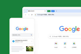 谷歌浏览器常见问题及解决办法